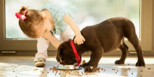 (CF)Kid N Dog Show @ Connor Field